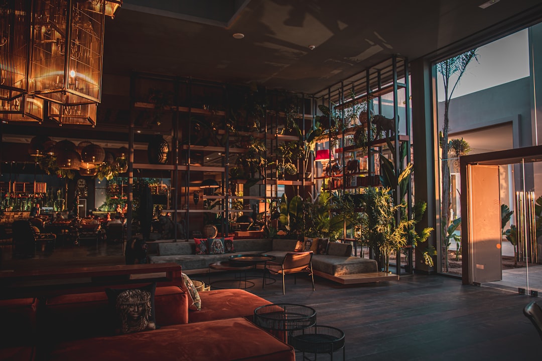 Kava Bar: What Smoke Shop Owners Need to Know About the Format