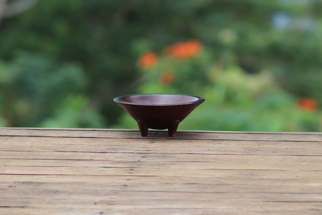 Kava Kava: Why Smoke Shops Should Stock This Growing Category